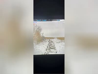 Big pile of dead Korean and Russian soldiers!