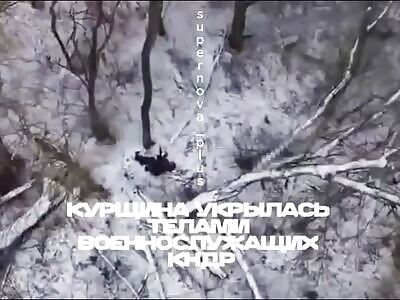 Dead Koreans are scattered around Kursk