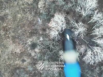 Many grenades fall on the Russians