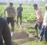 Man Brutally Beaten to Death by Family Members in India