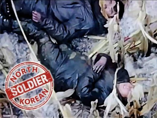 N Koreans Caught Eating Crops, Get Drone Slapped