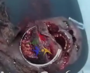 [THE DEVIL SMILE]RIVAL BUTCHERED BY THE BLACK AXE GANG 