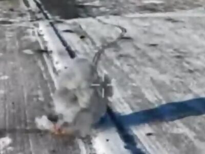 Russian marines were blown up by mines in Kursk