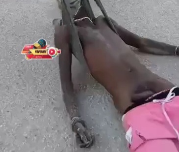 Haitian gang member killed by police