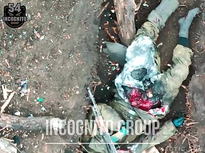 Russian cockroach dies slowly and torturously.