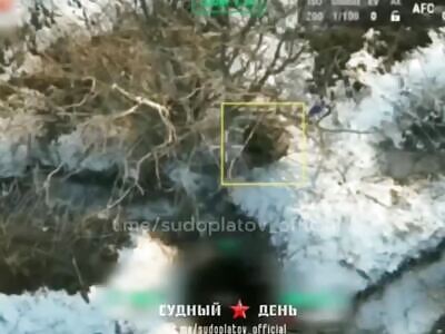 Hohol anti-drone stick