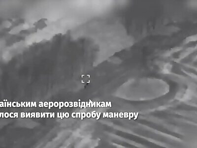 Russian rats were caught in a gas pipe in Kursk.