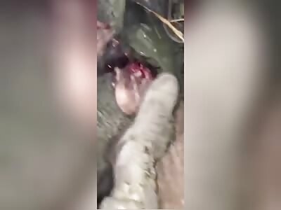 Ukrainian soldier shows captured Russian positions.