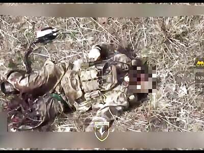 Liquidation of yellow-cloud walkers in the Toretsk direction