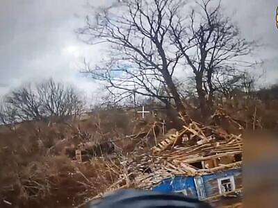  A sparrow flew into an abandoned building to homeless squatters
