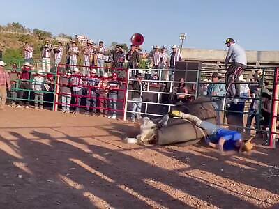BRUTAL DEATH, Man killed by giant bull