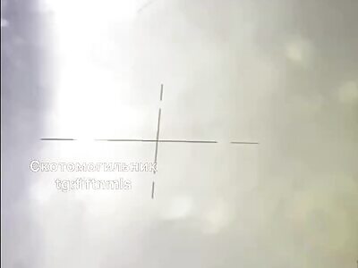 Russian tank crew duck shooting