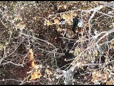 Ukrainian FPV strikes.