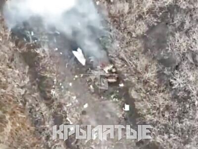 The law banning the LGBT movement in action