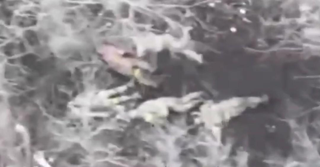 Russian drone finds 5 executed Ukrainians. 