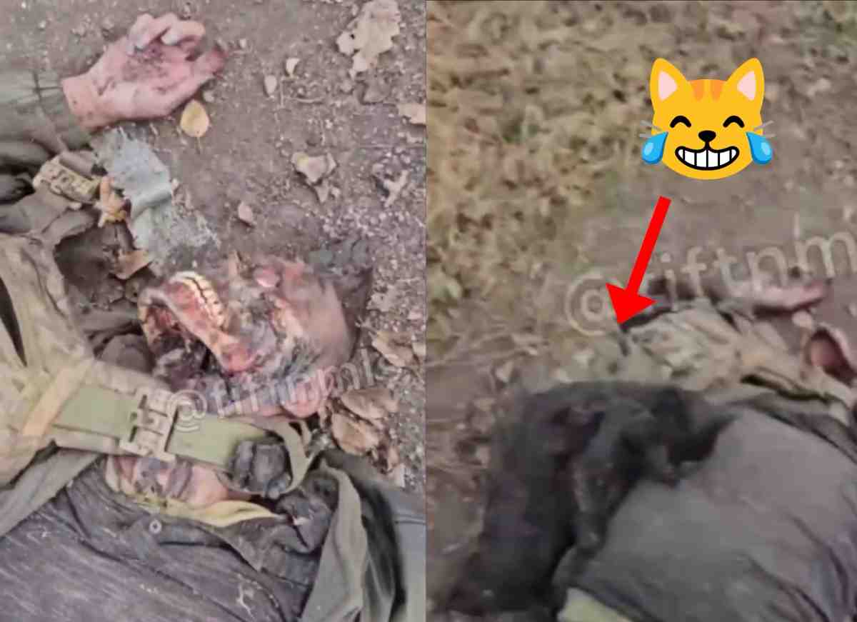 A cat that skinned its owner was shot dead by Russian soldiers