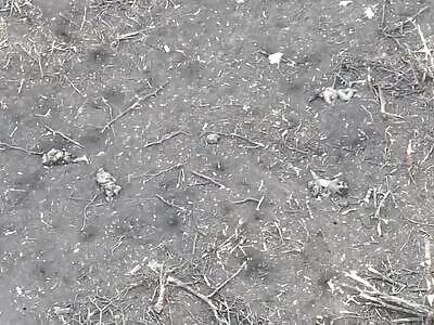 Silent Hill: Z Edition