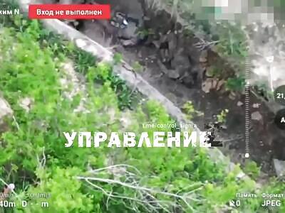 They took Tyotkino and are resting