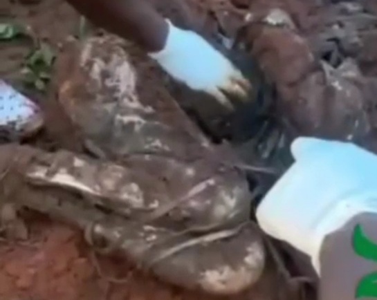 Discovering dead body tied up and buried in a shallow grave 