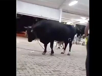 I don't want your money you son of a bitch