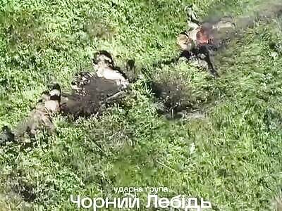 Dead Russians comp (June 24, 2025)