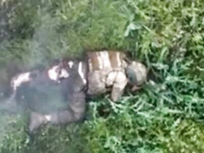 Massacre of Russians in Sumy. Chill compilation.