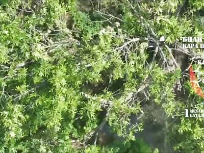 Dead Russians comp II (June 25, 2025)