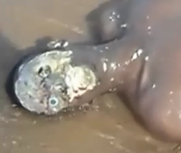 Man Found on the Beach With His Face Eaten