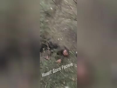 They took Sumy and are sleeping.