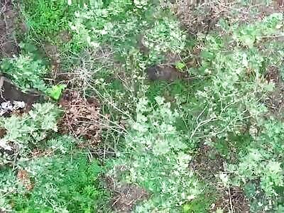 The burning of a Russian alive on foreign soil. 