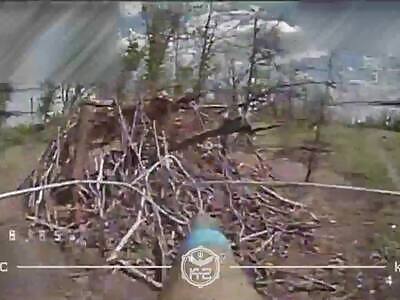 Processing of Russian meat into fertilizer.