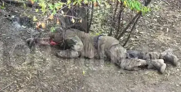 Hard roasting of Hohols in the Zaporizhzhia direction