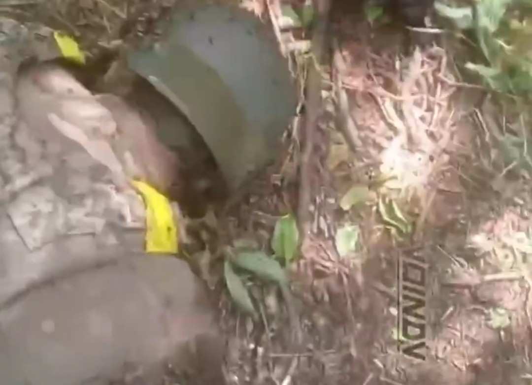 Dead Ukrainians everywhere. 