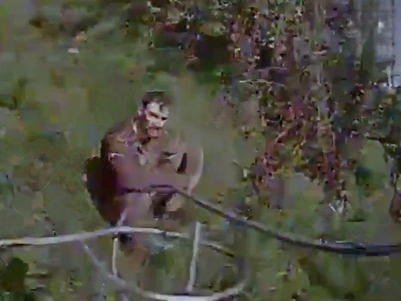 Apathetic Russians Are Sick & Tired of Getting Pounded