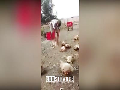 Vietnamese guy kills chickens in an unorthodox fashion