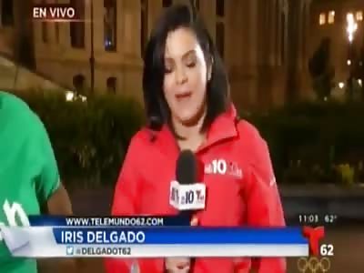 Female News Reporter Gets Punched in the Face on Live TV