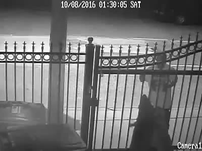 Surveillance Video Shows Man Stabbing Dog