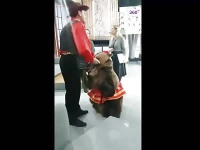  Never Surprise A Bear....