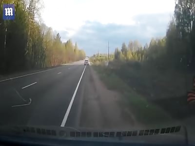 Shocking dashcam video shows elk being killed by speeding car