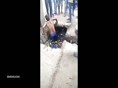 Man tries to unblock a drain and pulls out a COW