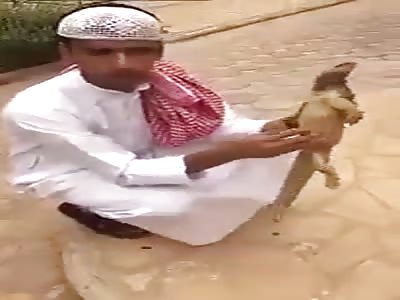 Please look at this big dead Lizard