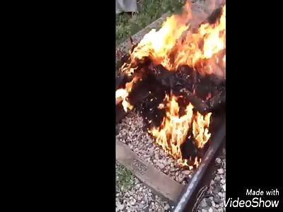 burned thief in train track