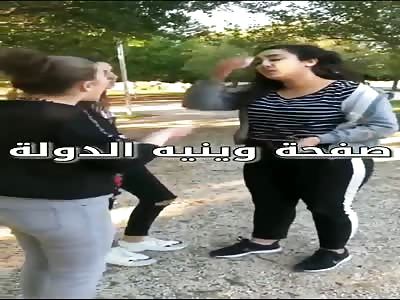 Lebanese girl slap fatty girl and try to cut her face