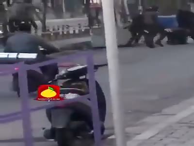 Iraqis regime police beat protester to death 