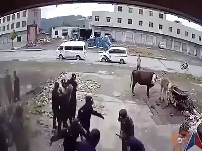 Five Policeman Brutally Beat Poor Woman 