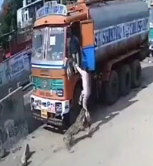 Truck Driver Gets Attacked By Leopard In India