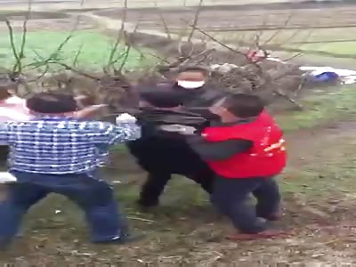 Chinese politicians beating farmer 