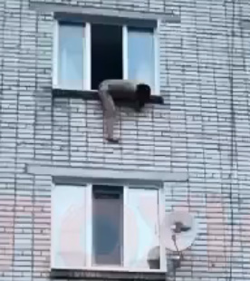 Drunk Naked Girl  Falls Out Of The Window