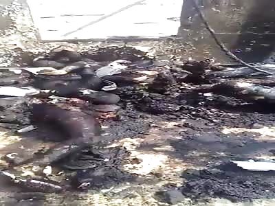 Victim's of Yemeni civil war burned alive 