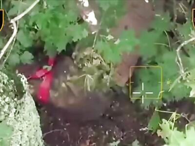 Dead Russians comp II (August 8, 2025)